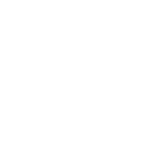 event Monochrome icon of star-adorned barrier.