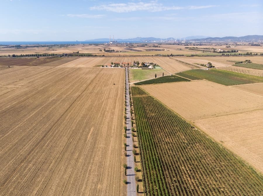 Photo Agricultural mapping